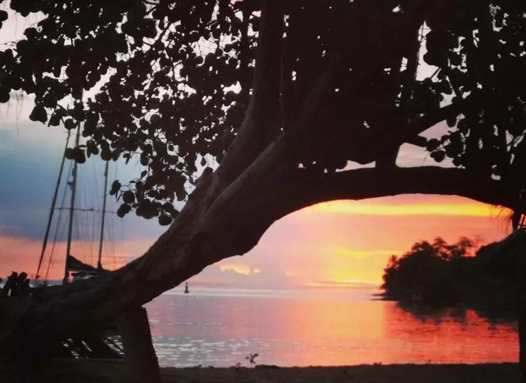 ベッドアンドブレックファースト Cafe Del Mar Sapzurro