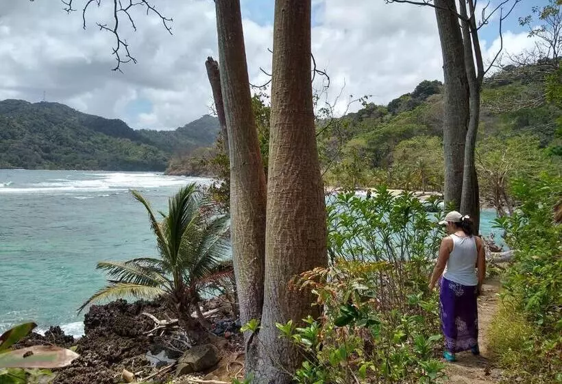 ベッドアンドブレックファースト Cafe Del Mar Sapzurro