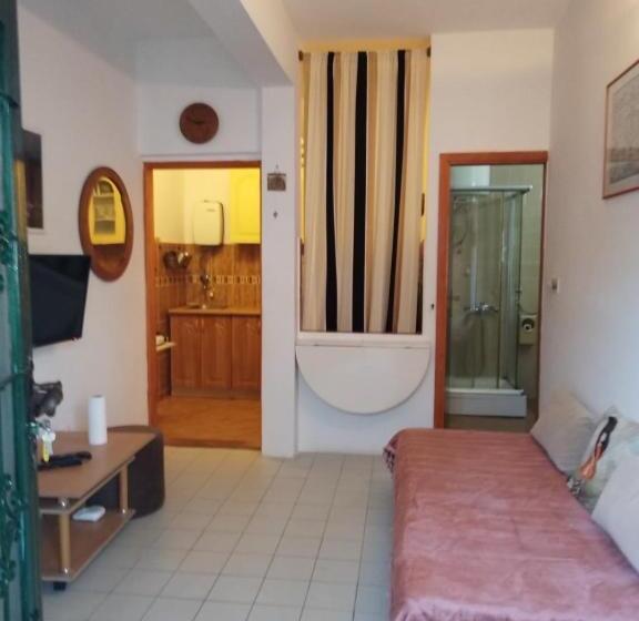 پانسیون Studios Annie