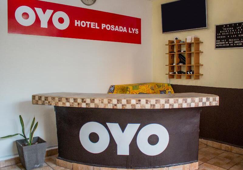 Alterhome Hotel Posada Lys