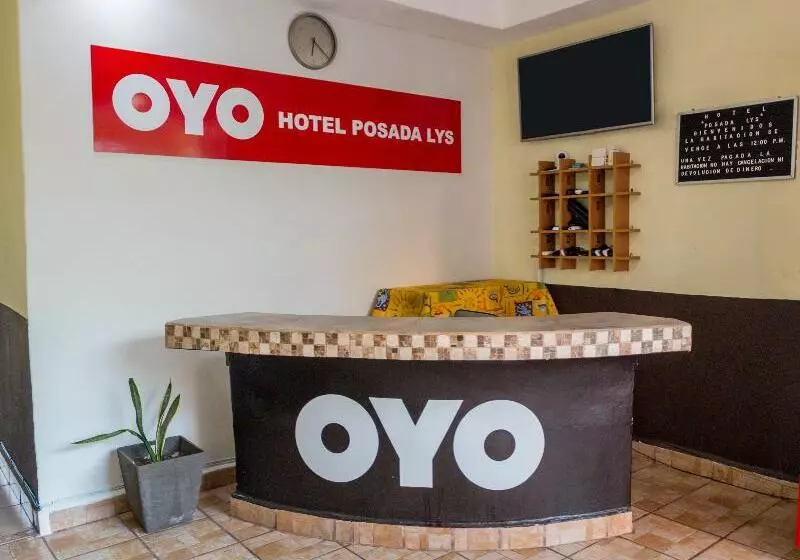 Alterhome Hotel Posada Lys