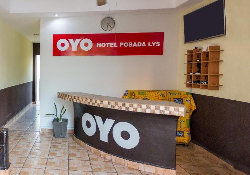 Alterhome Hotel Posada Lys