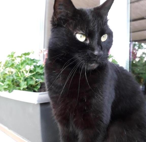 Bed and Breakfast La Roulotte Des Trois Arbres