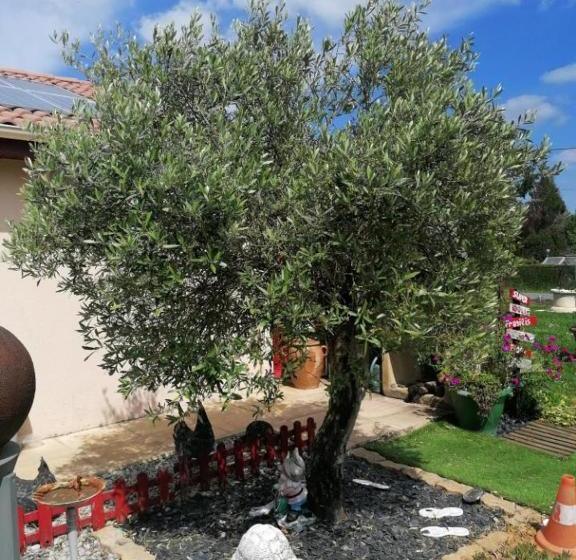 Bed and Breakfast La Roulotte Des Trois Arbres