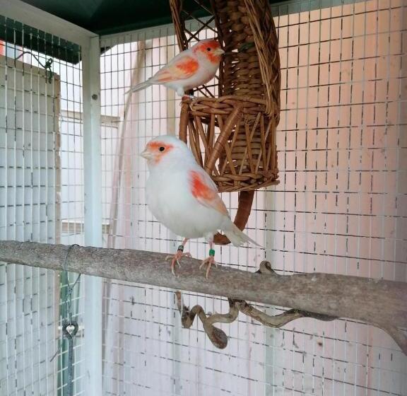 Bed and Breakfast La Roulotte Des Trois Arbres