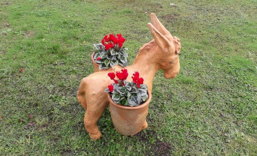 Bed and Breakfast La Roulotte Des Trois Arbres