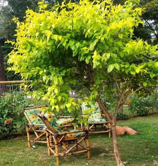 פנסיון Espaço Vilarejo Pousada