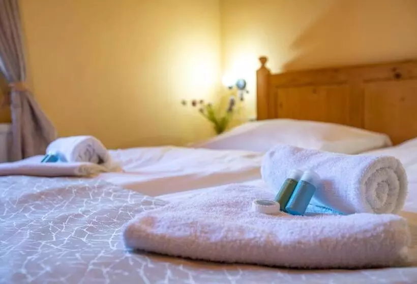 ペンション Penzion Sofinata & Pizzeria špindlerův Mlýn