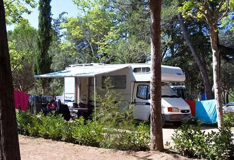 Camping Santa Elena Ciutat