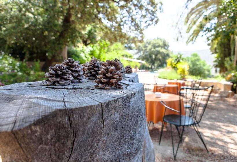 Отель Agroturismo Son Galceran