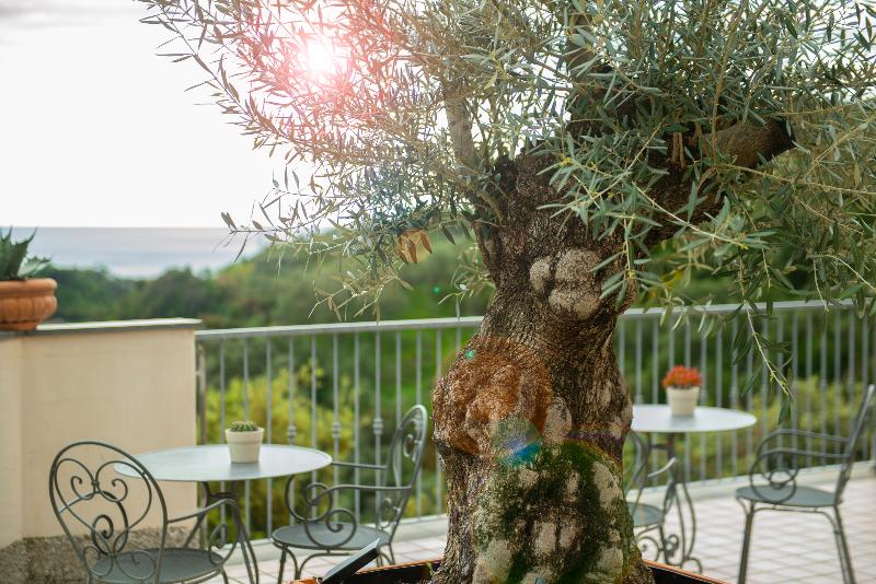 호텔 Al Terra Di Mare