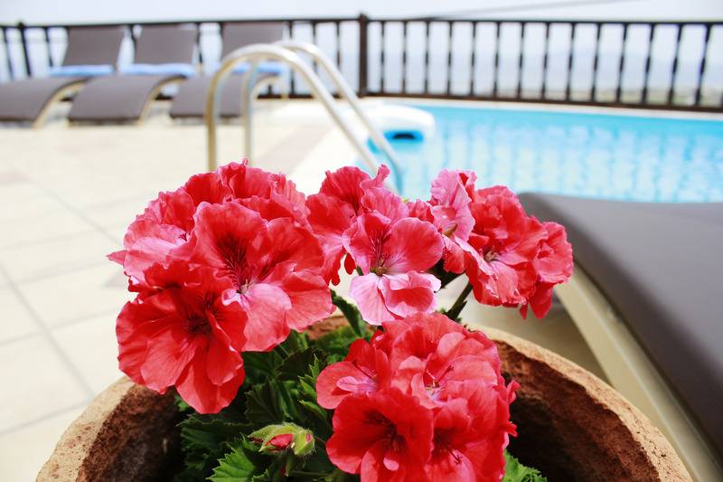 Hotell Amerisa Suites & Villa