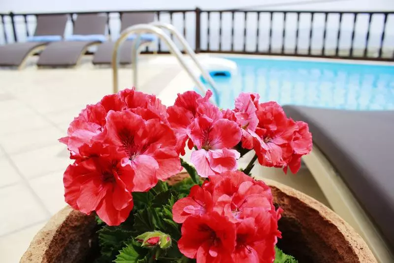 בית מלון כפרי Amerisa Suites & Villa