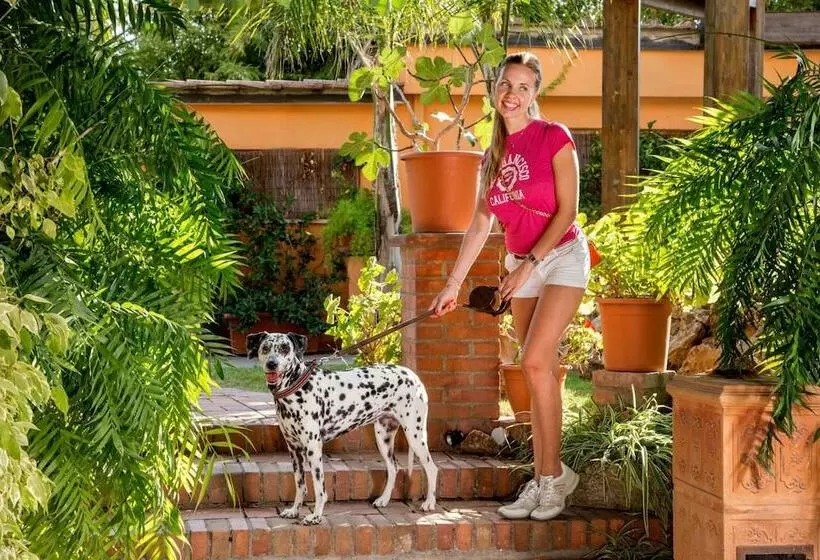 בית מלון כפרי Antica Locanda Palmieri