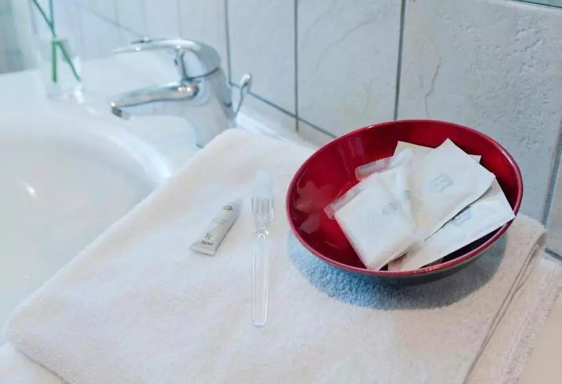 호텔 Antico Albergo Madonna