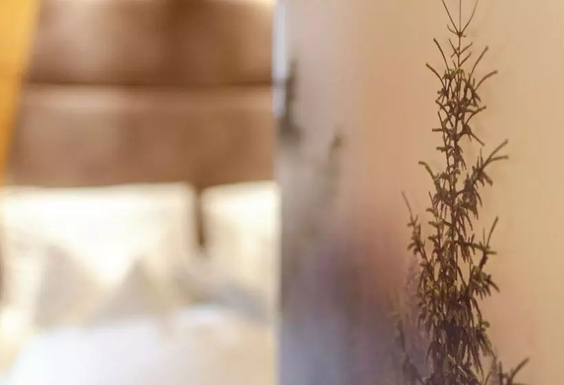 בית מלון כפרי Faloria