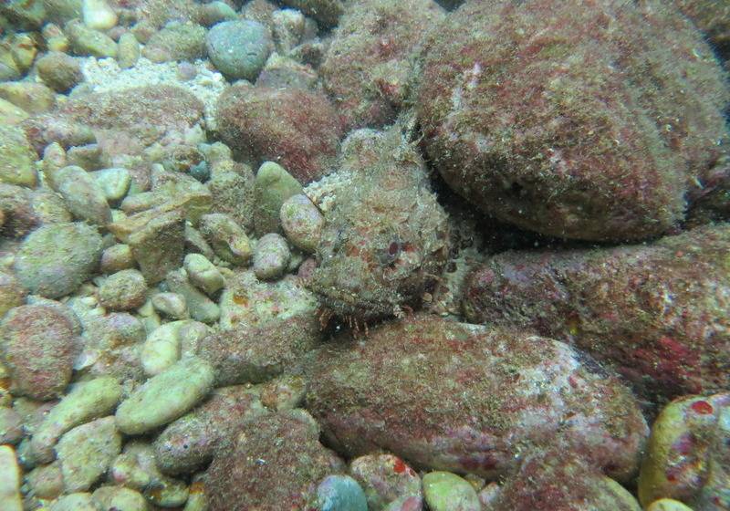 فندق Kerveli Village