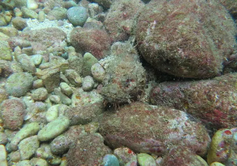 هتل Kerveli Village