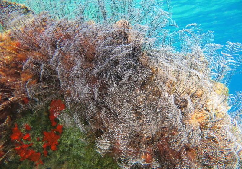 فندق Kerveli Village