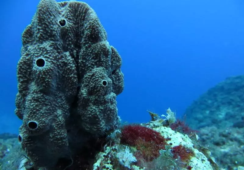 هتل Kerveli Village