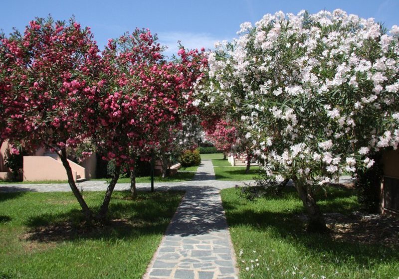 호텔 Villaggio Sirio