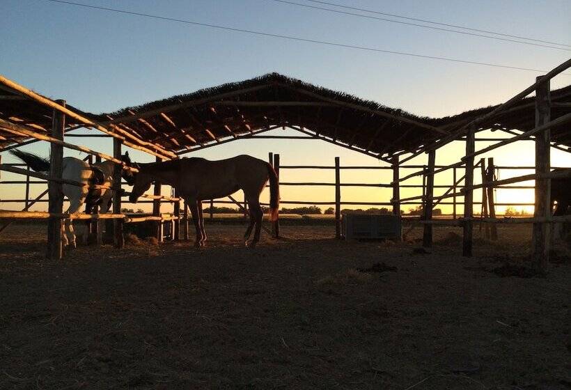 Отель Agriturismo Giuncola E Granaiolo