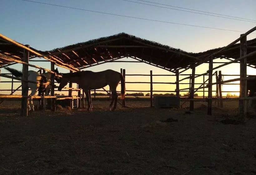 فندق Agriturismo Giuncola E Granaiolo