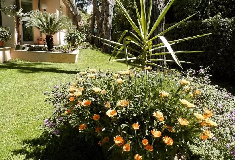 Отель Mediterraneo