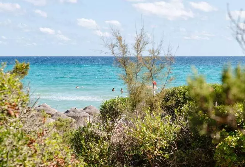 ホテル Amareclub Baia Dei Turchi Resort   Adults Only