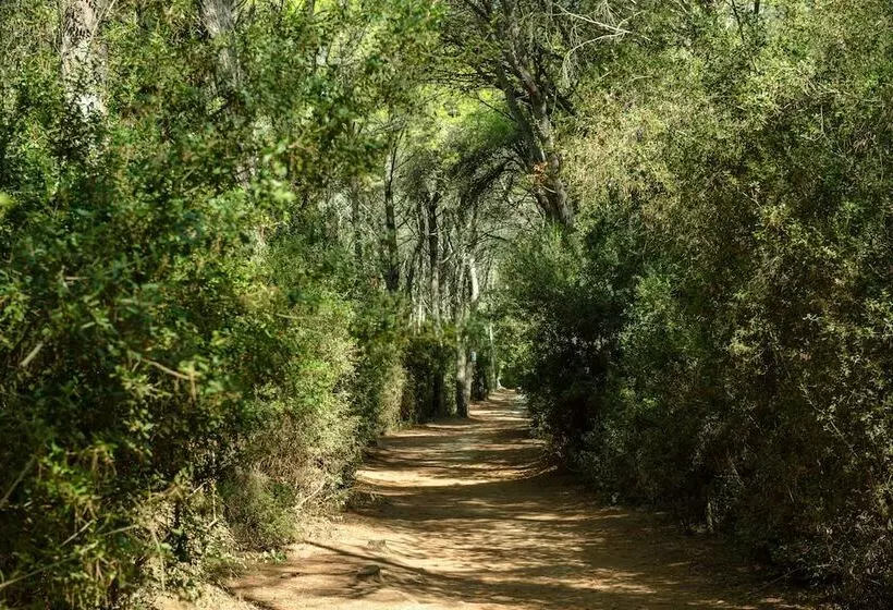 ホテル Amareclub Baia Dei Turchi Resort   Adults Only