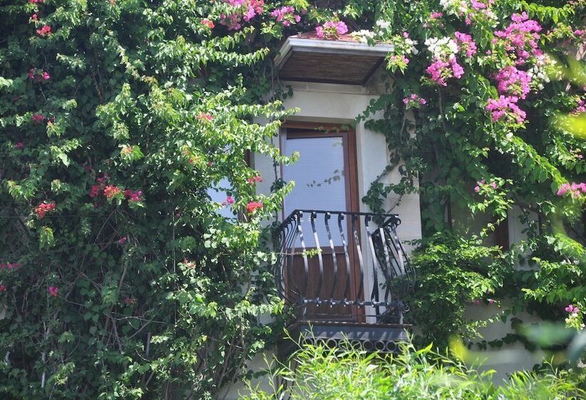 El Vino Hotel & Suites