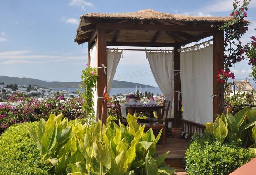 El Vino Hotel & Suites