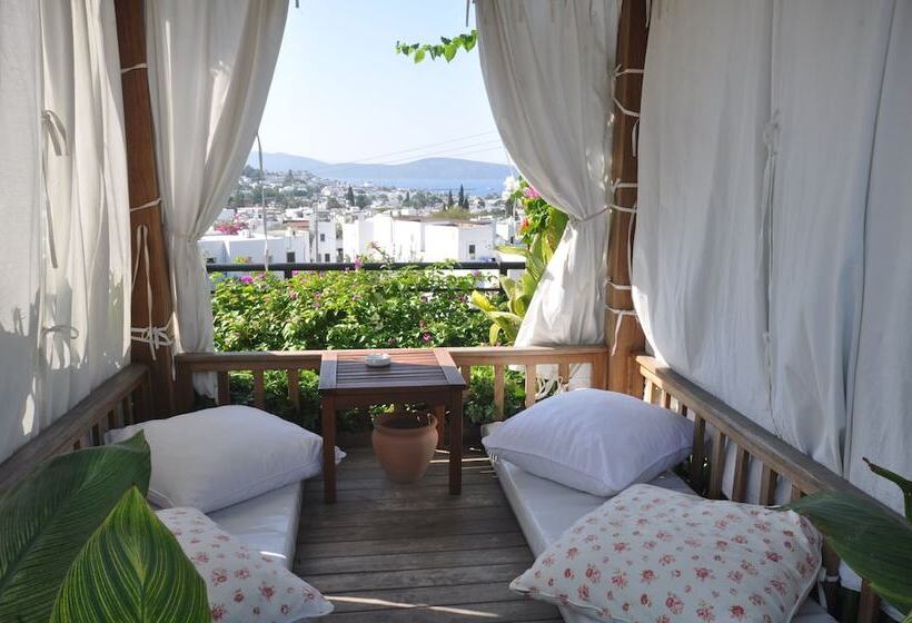 El Vino Hotel & Suites