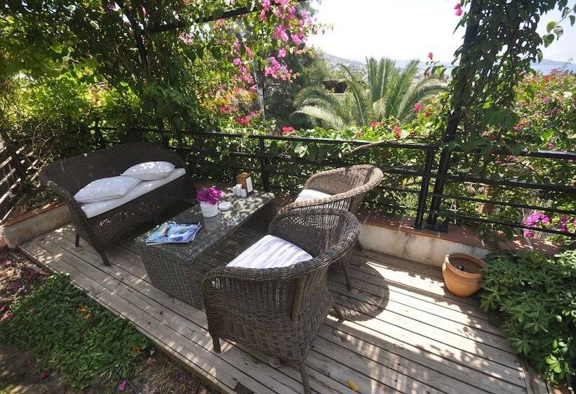 El Vino Hotel & Suites