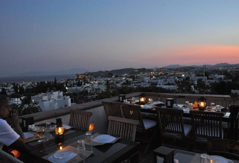 El Vino Hotel & Suites