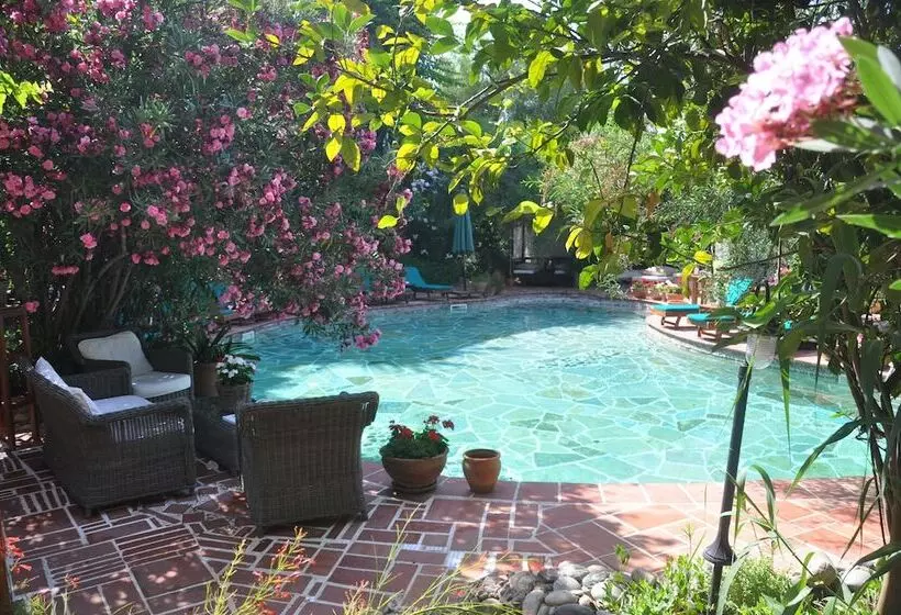 El Vino Hotel & Suites