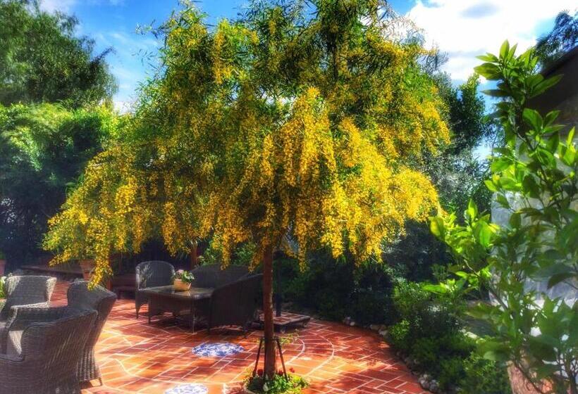 El Vino Hotel & Suites