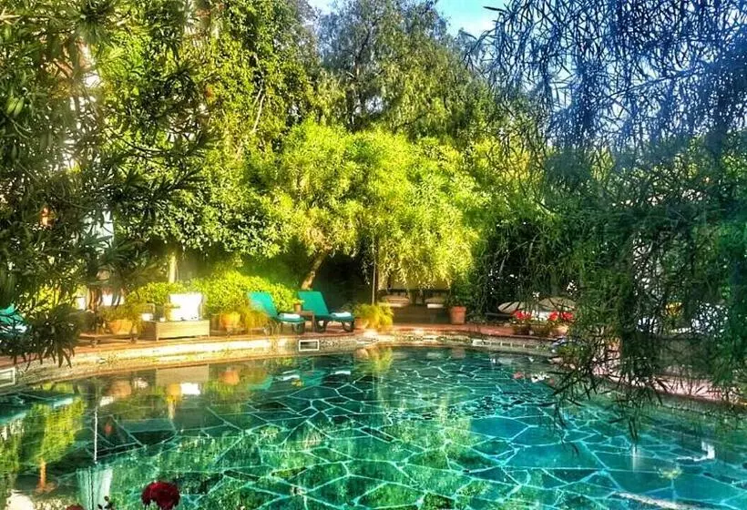 El Vino Hotel & Suites