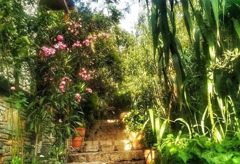 El Vino Hotel & Suites