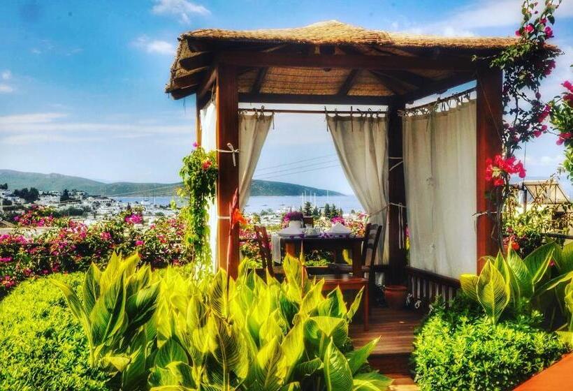 El Vino Hotel & Suites