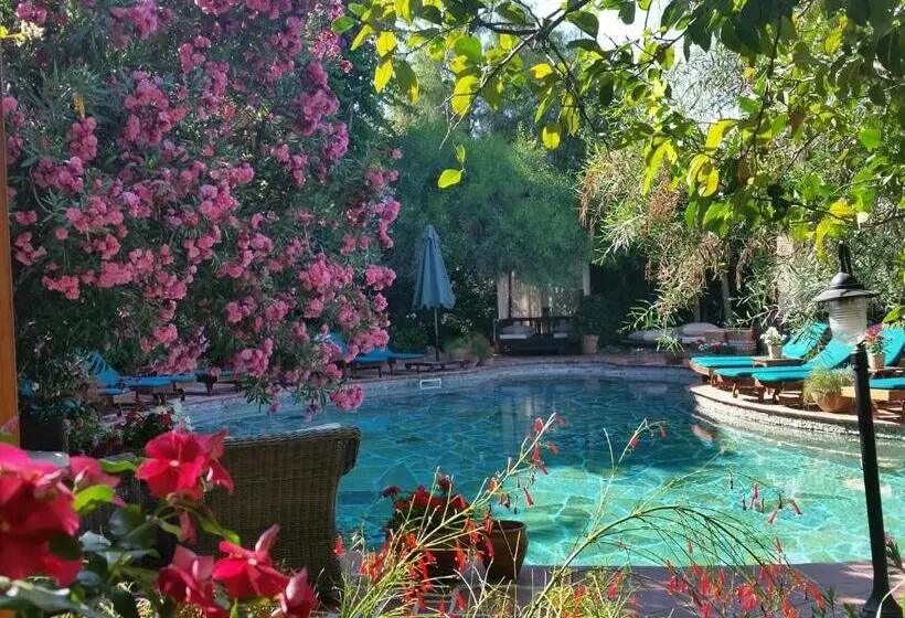 El Vino Hotel & Suites