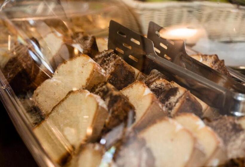 בית מלון כפרי Elena