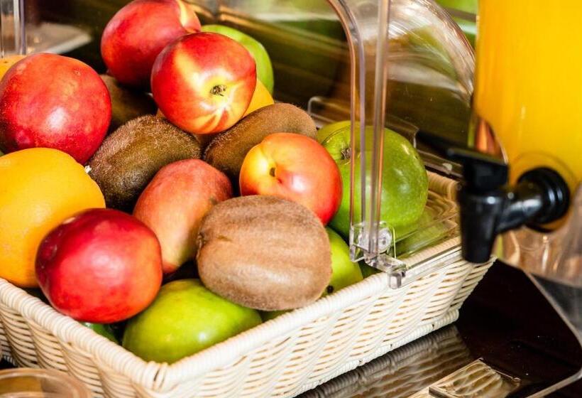 בית מלון כפרי Elena