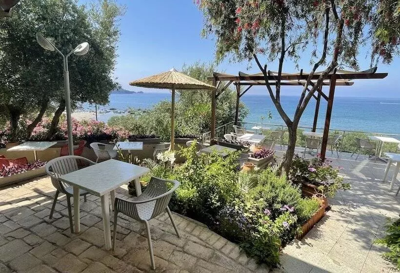 Отель Horizon Beach