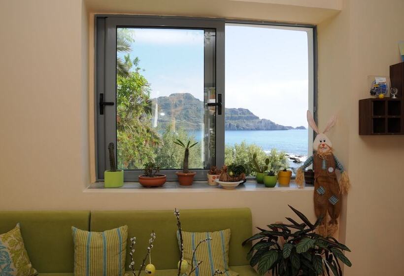 فندق Horizon Beach