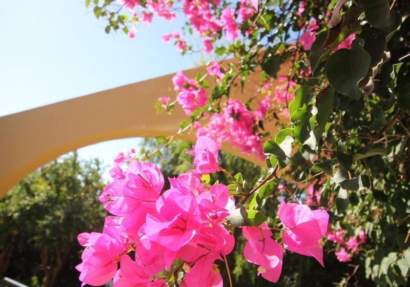 فندق Horizon Beach