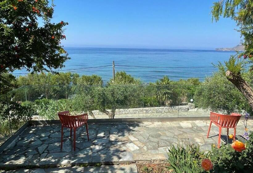 فندق Horizon Beach