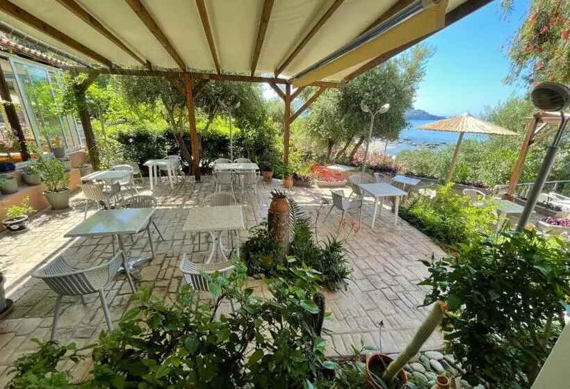 Отель Horizon Beach