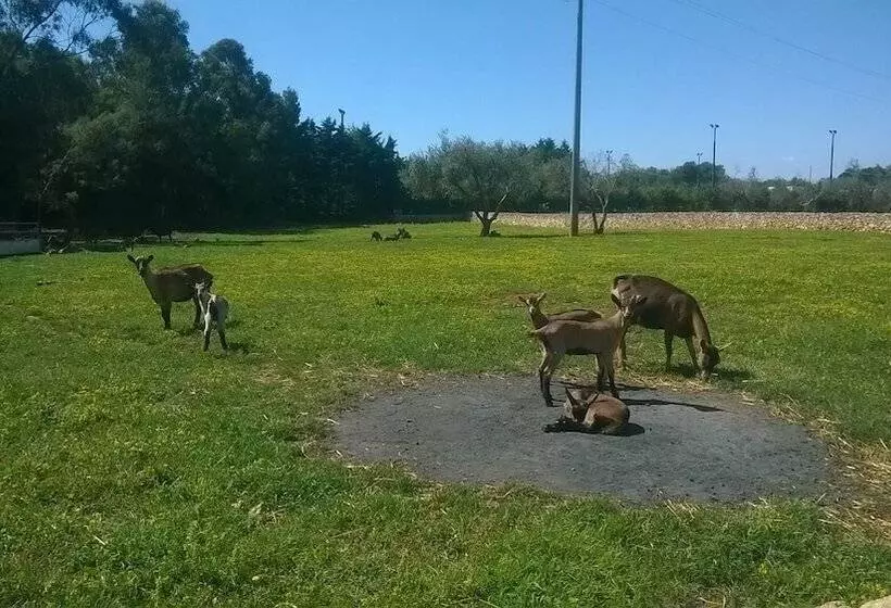 酒店 Il Venticello Agriturismo