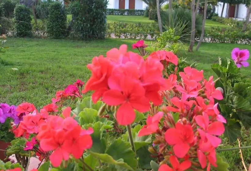 酒店 Il Venticello Agriturismo